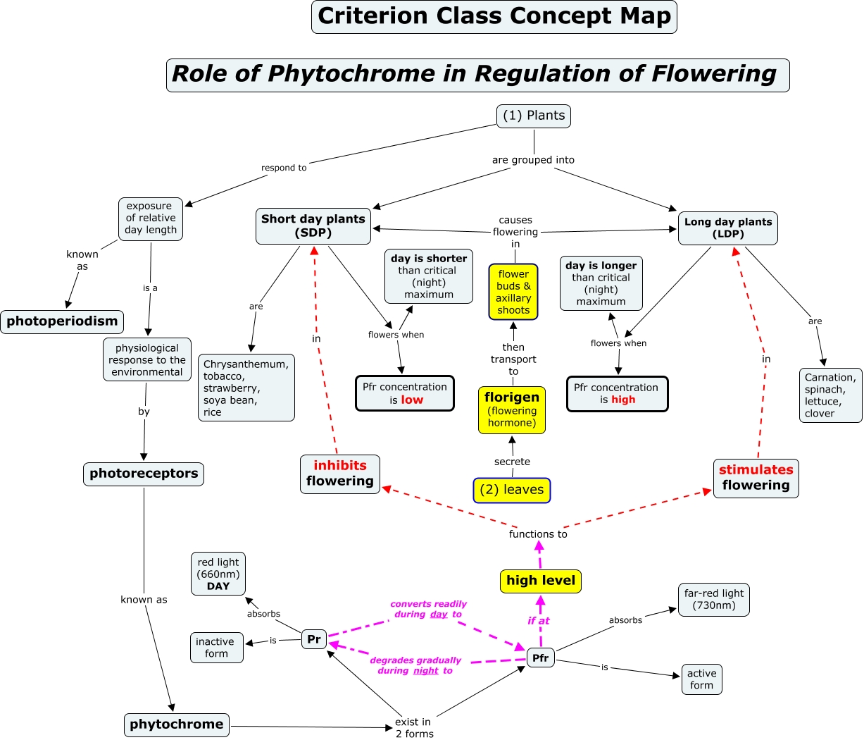 Regulation of flowering in flowering plants (Class Concept Map)